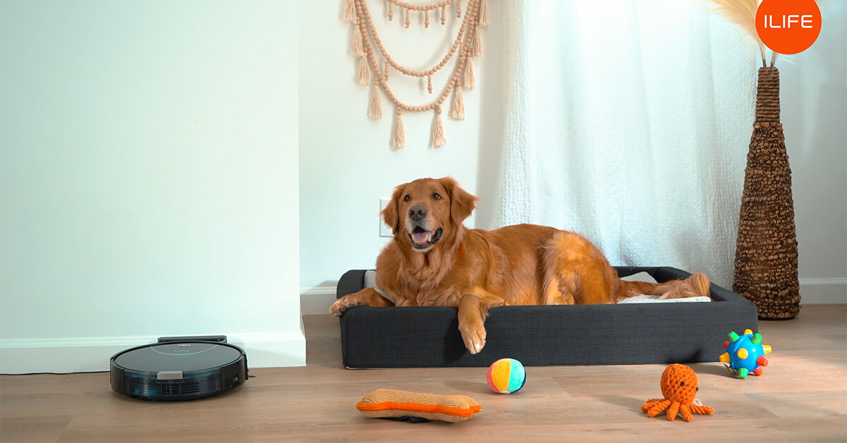 ILIFE V80 Max for Pet Hair Cleaning