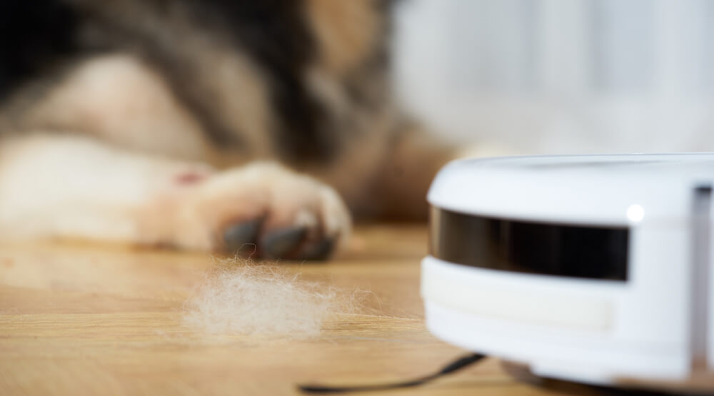 Automatic vacuum for fashion dog hair