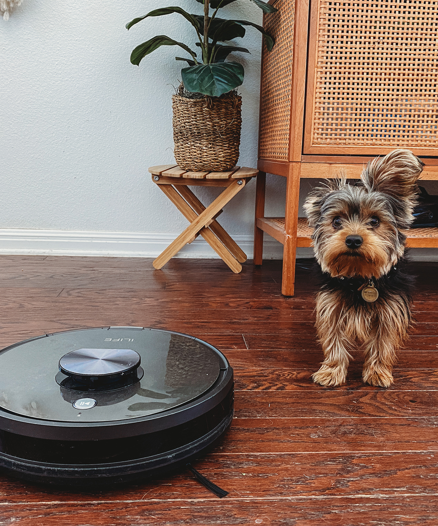 ILIFE User Sharing Graph_4