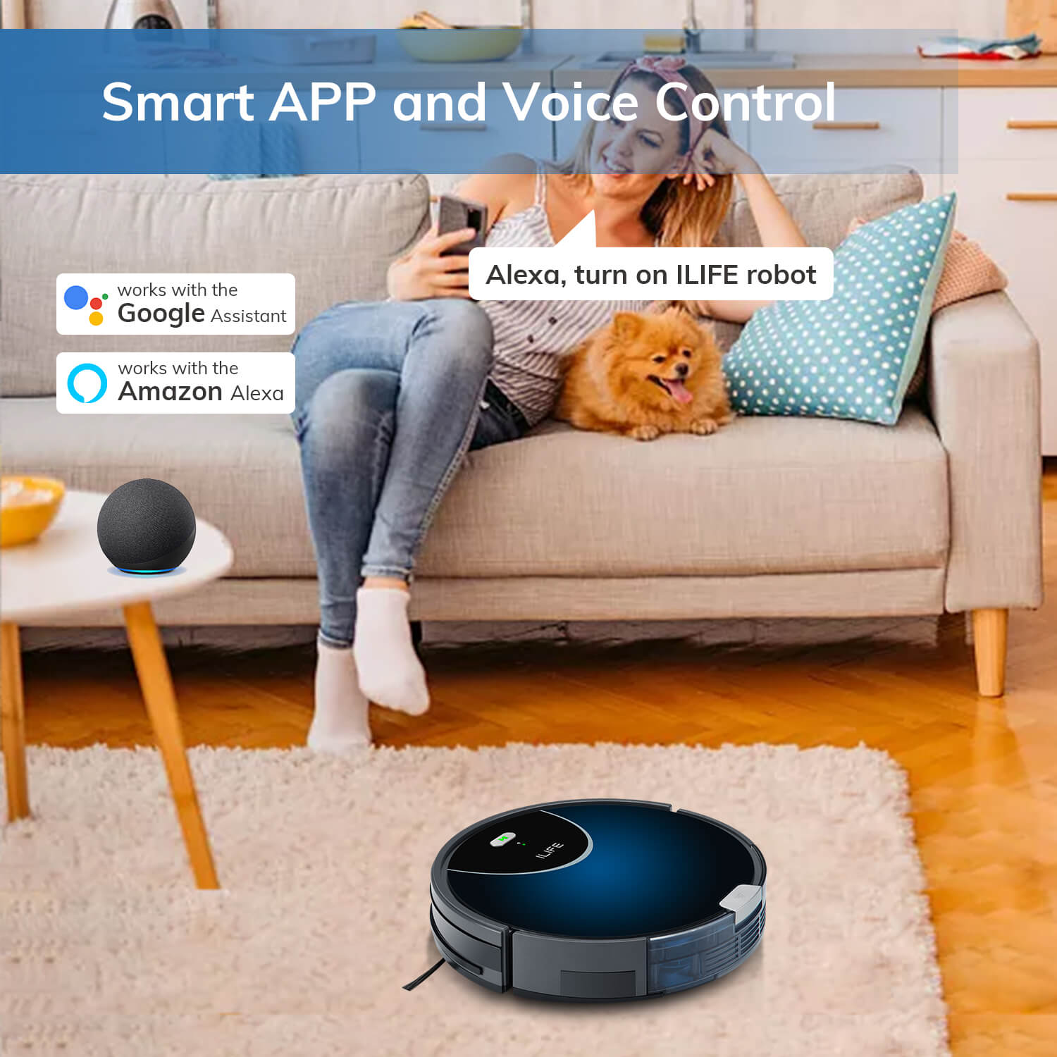 smart and voice control